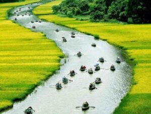 HOA LU – TAM COC – MUA CAVE – 1 DAY