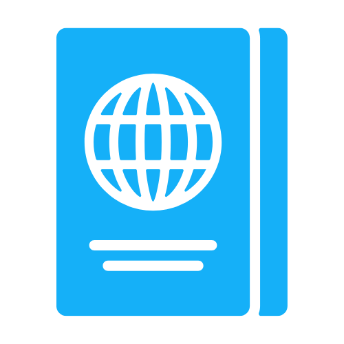 Visa Service